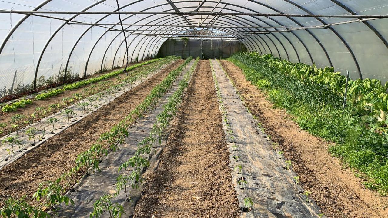 Agroturismo Urresti Gautegiz Arteaga Eksteriør bilde