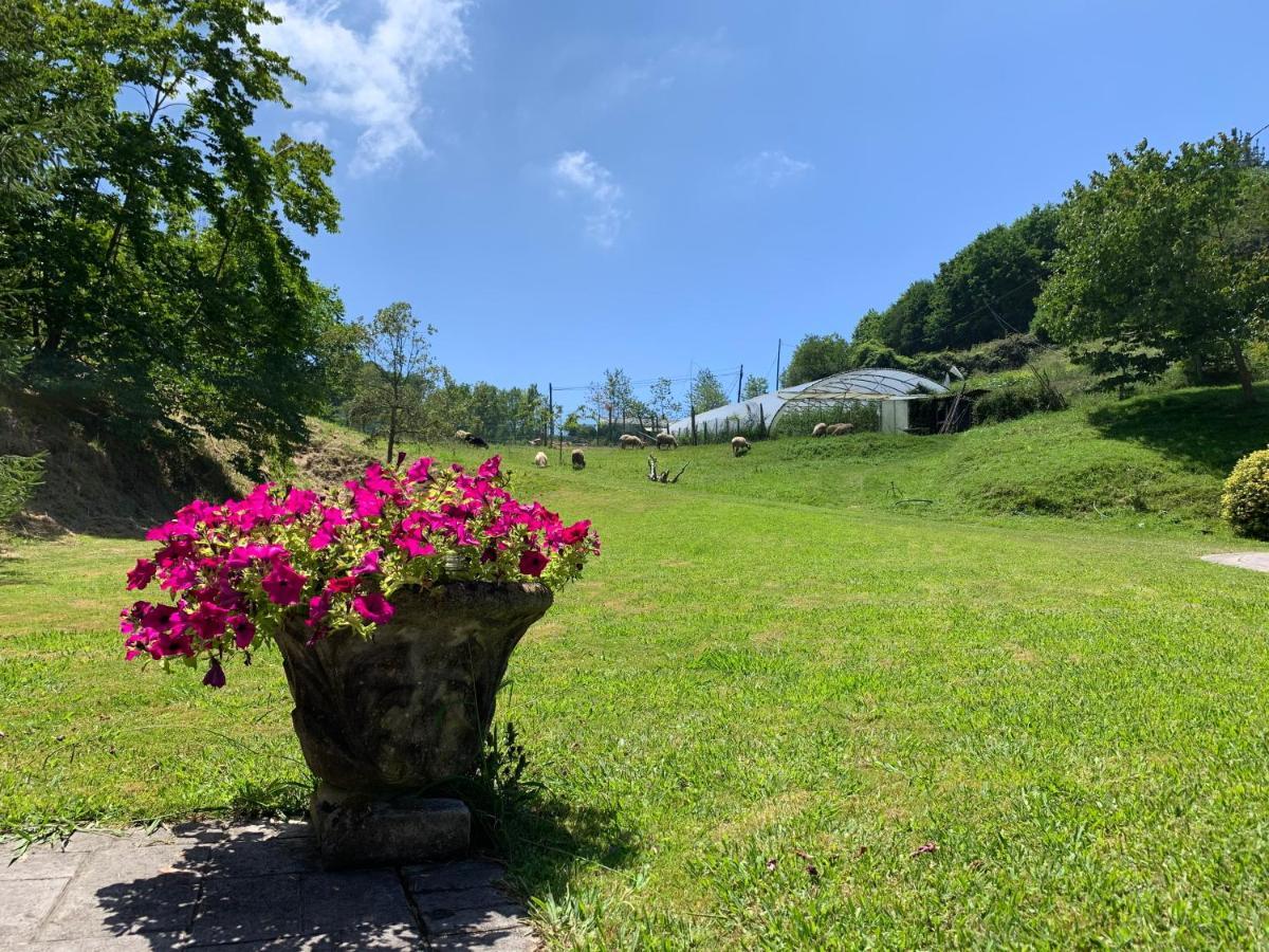 Agroturismo Urresti Gautegiz Arteaga Eksteriør bilde