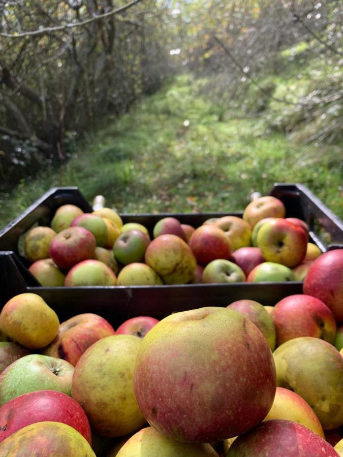 Agroturismo Urresti Gautegiz Arteaga Eksteriør bilde