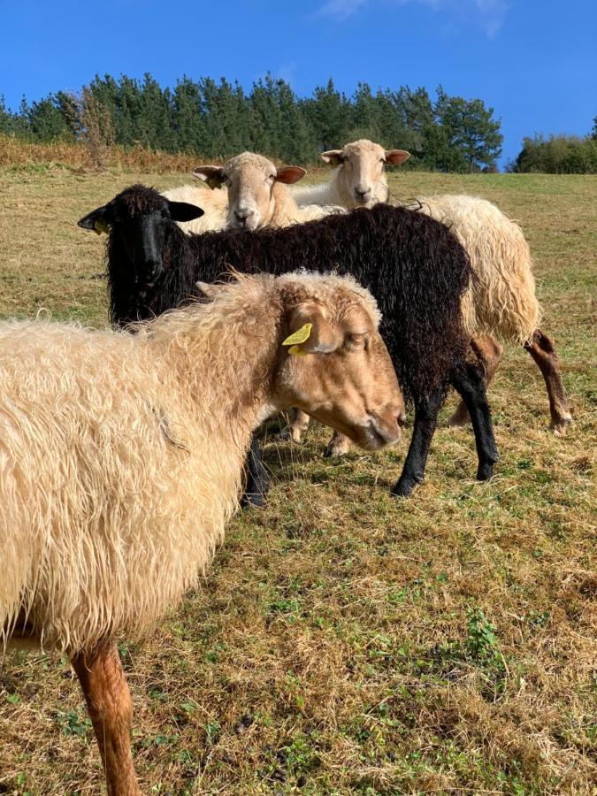 Agroturismo Urresti Gautegiz Arteaga Eksteriør bilde